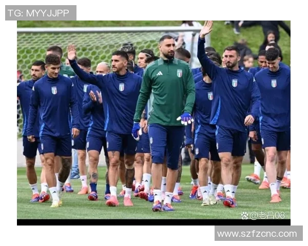 意大利队欧洲杯表现备受瞩目 意大利队欧洲杯表现备受瞩目
